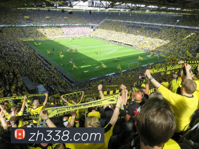 尊皇国际官网平台生态图